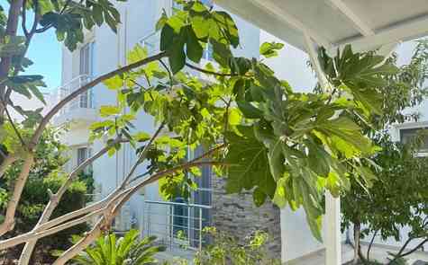 Аренда виллы в Богазе, в комплексе Caesar Beach – прямо на берегу моря!