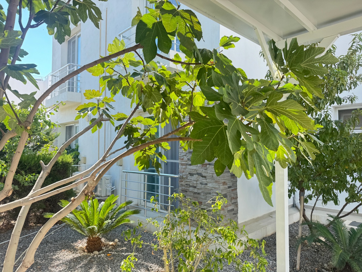 Аренда виллы в Богазе, в комплексе Caesar Beach – прямо на берегу моря!