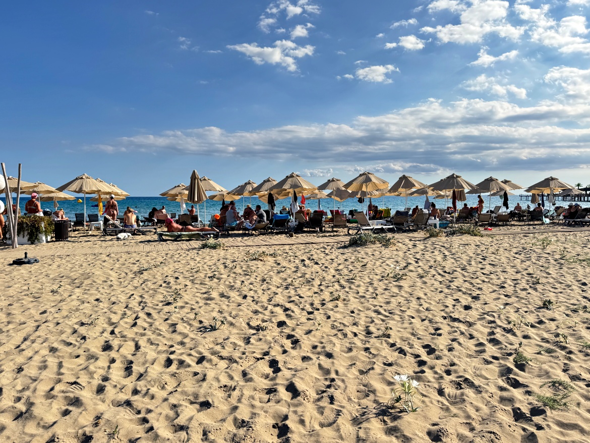 Аренда виллы в Богазе, в комплексе Caesar Beach – прямо на берегу моря!