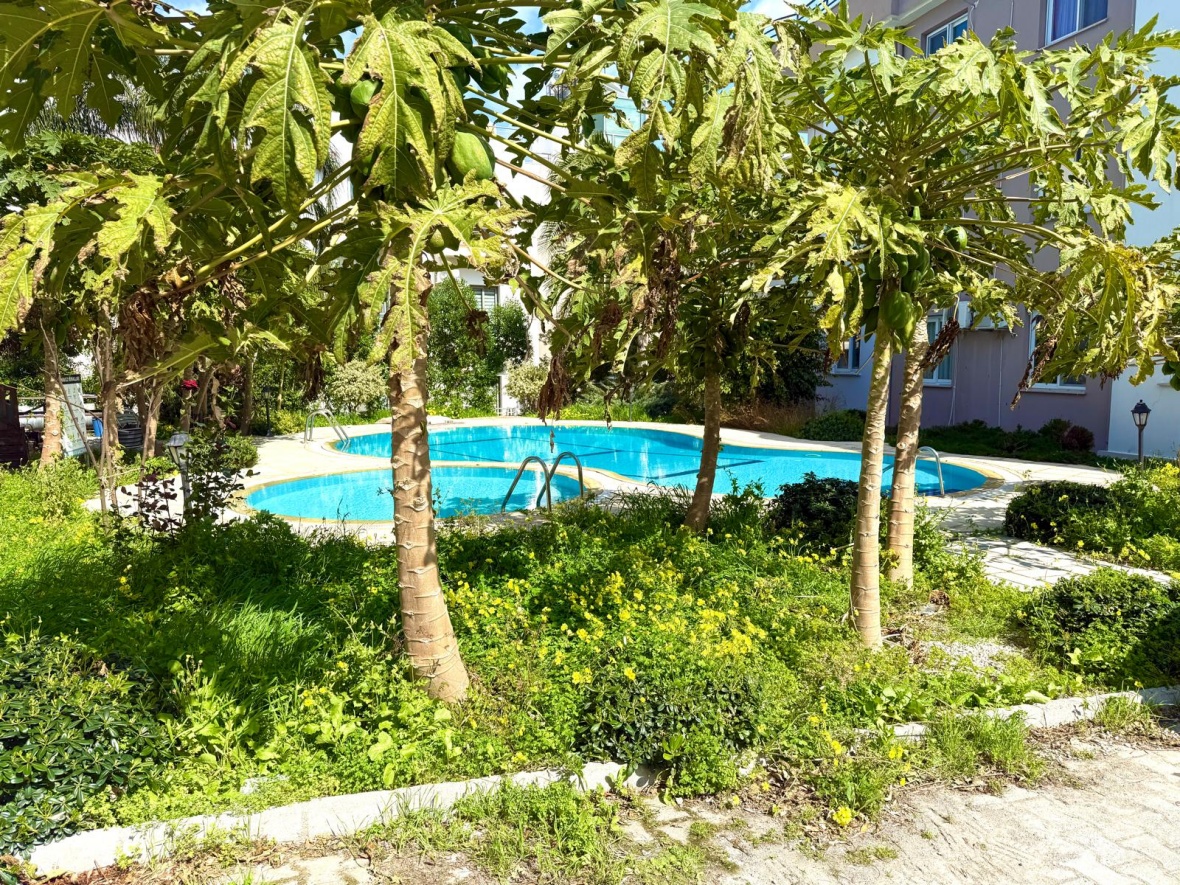 Просторный пентхаус 1+1 в Грине Алсанжак, Каванкой