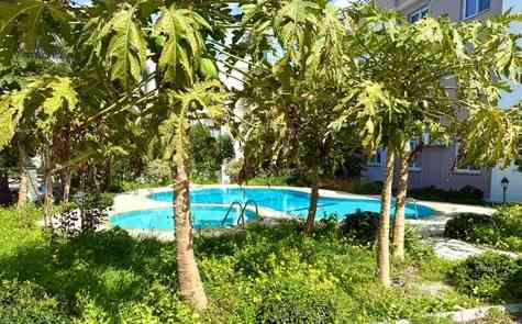 Просторный пентхаус 1+1 в Грине Алсанжак, Каванкой