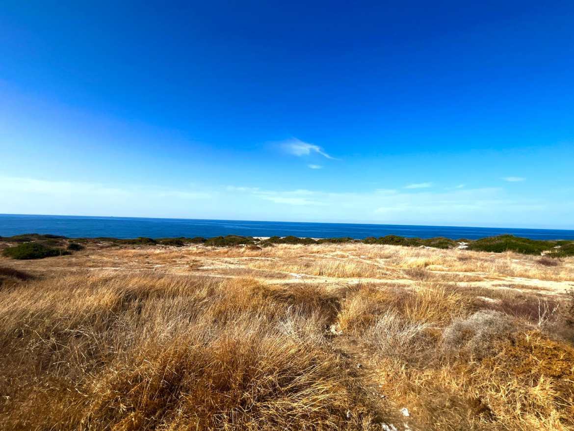 Просторная квартира 3+1 с большой террасой в Turtle Bay, Эсентепе