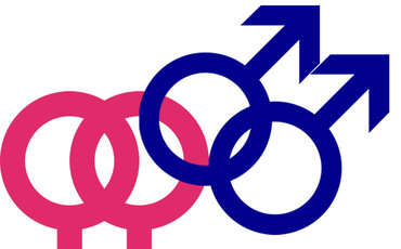 Парламент ТРСК вводит изменения в закон о гомосексуализме 