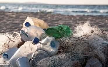 Запрет на бесплатные пластиковые пакеты на Кипре