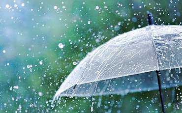 Сильные дожди и штормовой ветер: экстренное предупреждение Комитета по чрезвычайным ситуациям