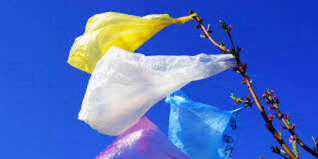 Ban for free plastic bags- Alliance NC