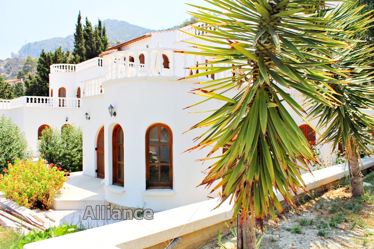 Apartments for rent in Cyprus- Alliance-Estate