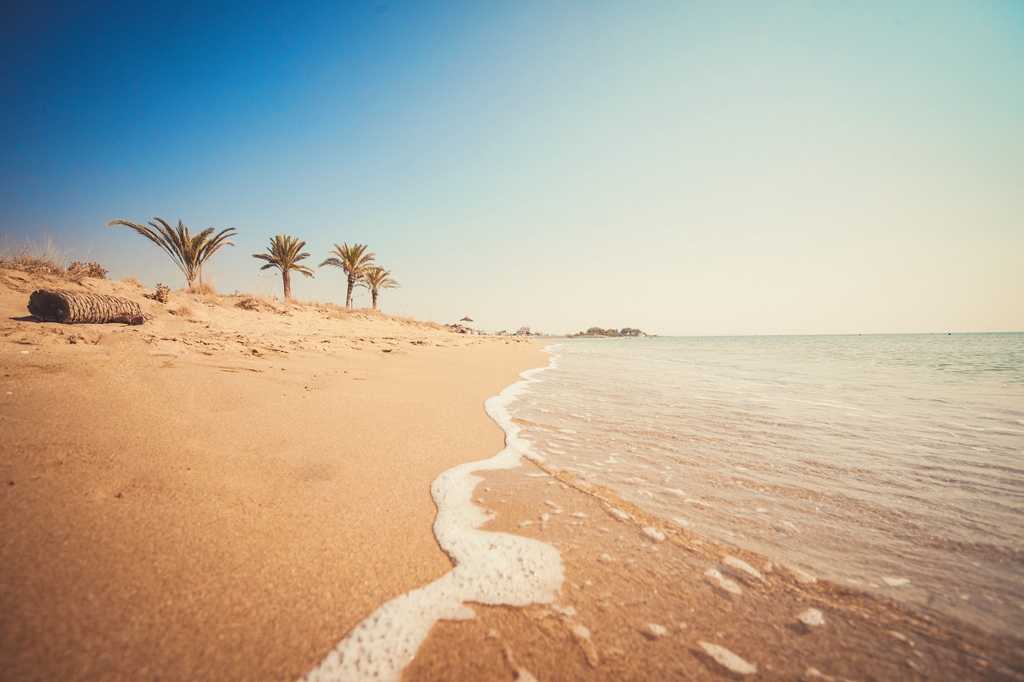 Vocation in Cyprus, beach- Alliance-Estate