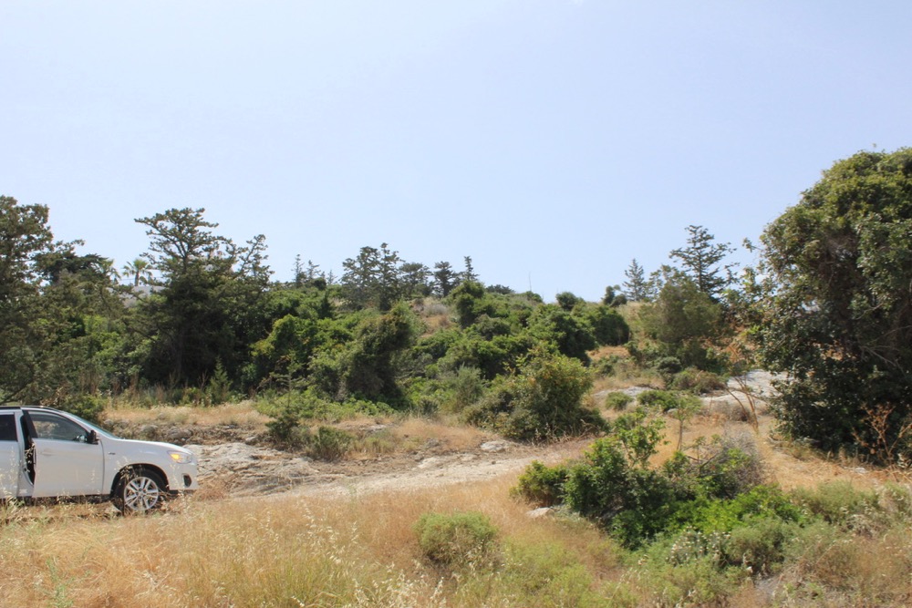 Investment in land in Northern Cyprus