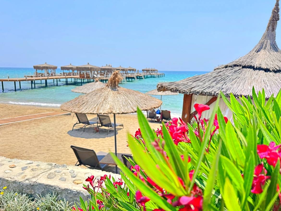 Northern Cyprus - AllianceNC